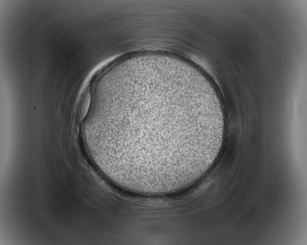 X0000086230979200704261853