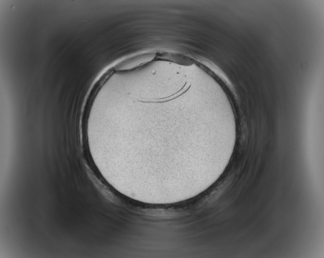 X0000086230980200704261853