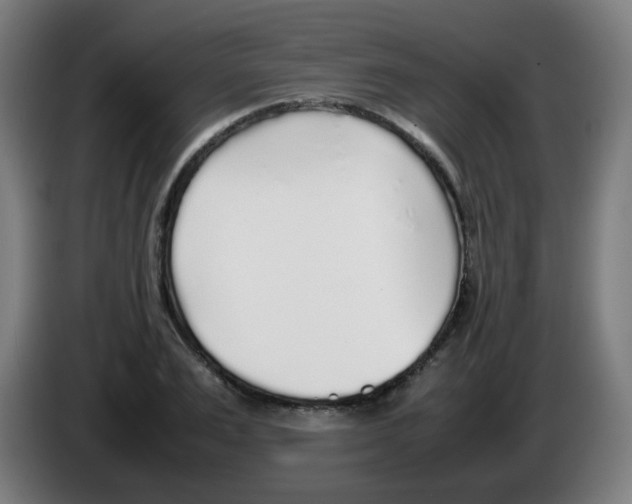 X0000086230983200704261853