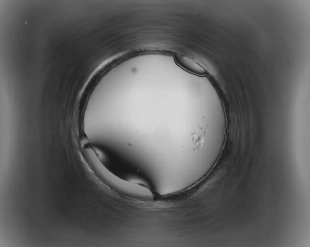 X0000086230984200704261853