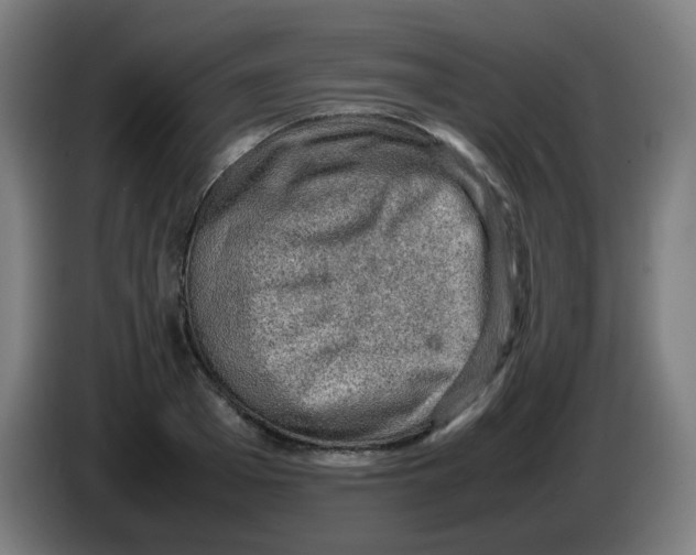 X0000086230985200704261853