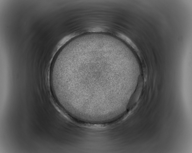 X0000086230986200704261853