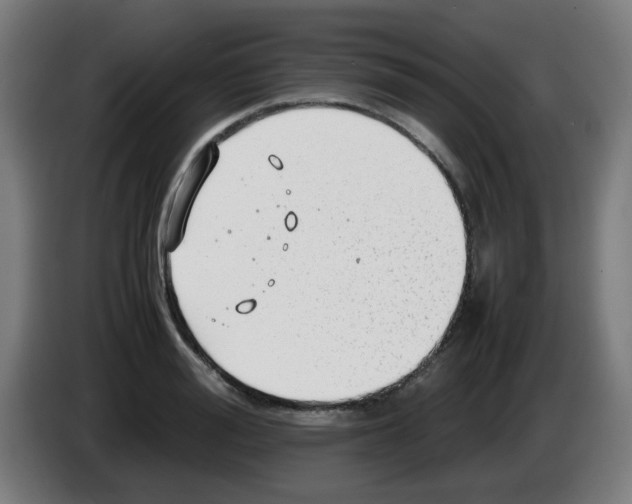 X0000086230988200704261853