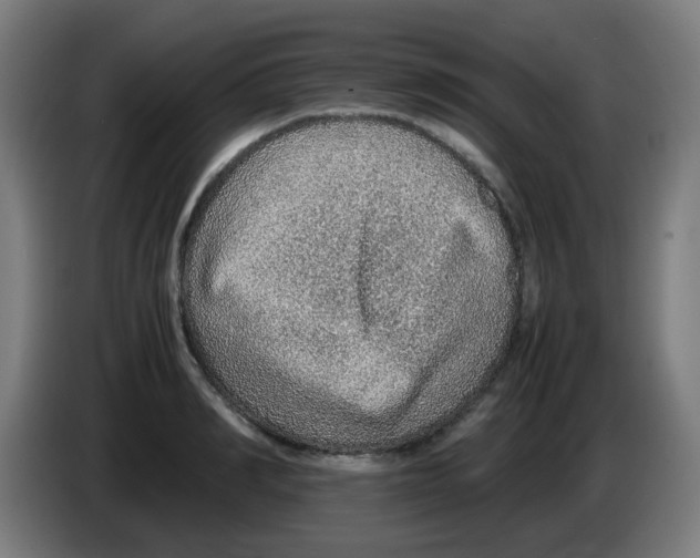 X0000086230990200704261853