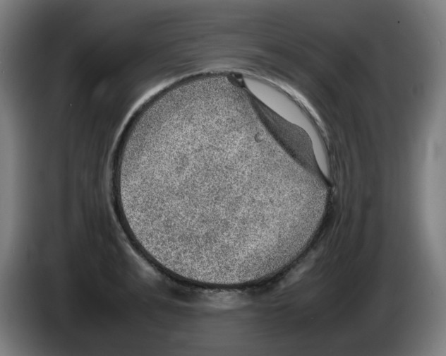 X0000086230991200704261852