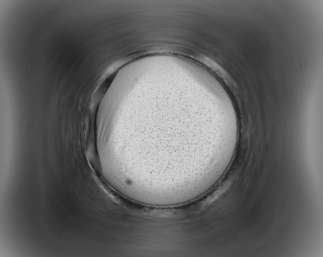 X0000086230993200704261852