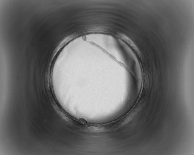 X0000086230994200704261852