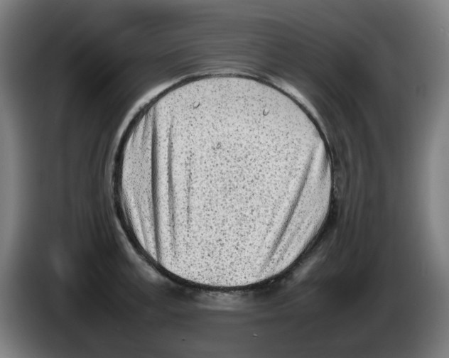 X0000086230995200704261852