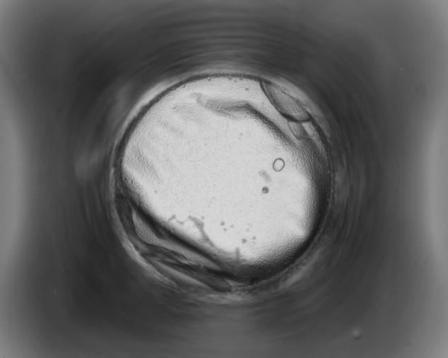 X0000086230998200704261852