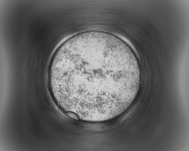 X0000086230999200704261852