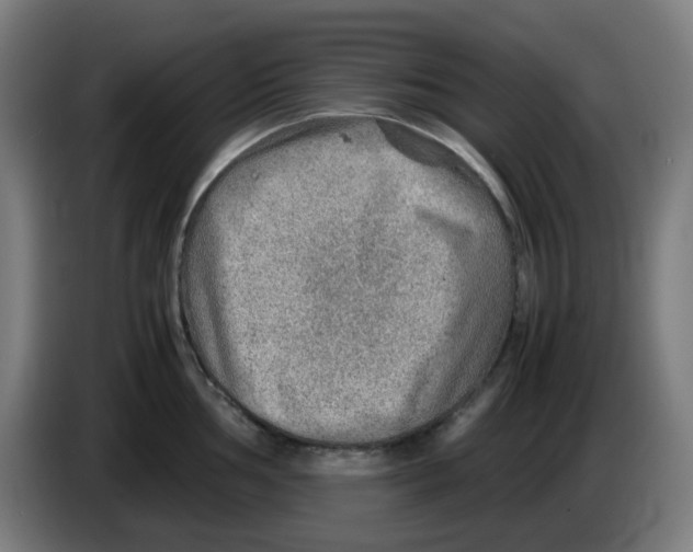 X0000086231002200704261852