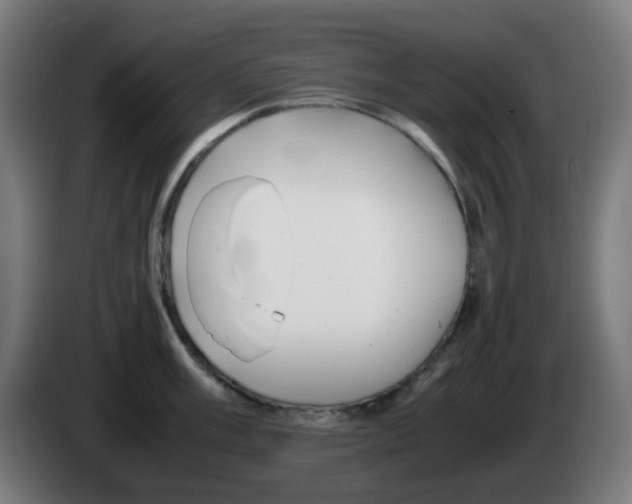 X0000086231003200704261852