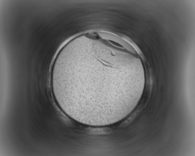 X0000086231004200704261852