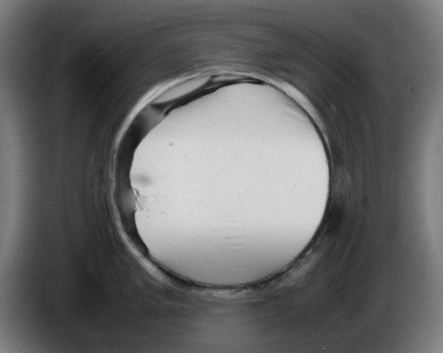 X0000086231005200704261852