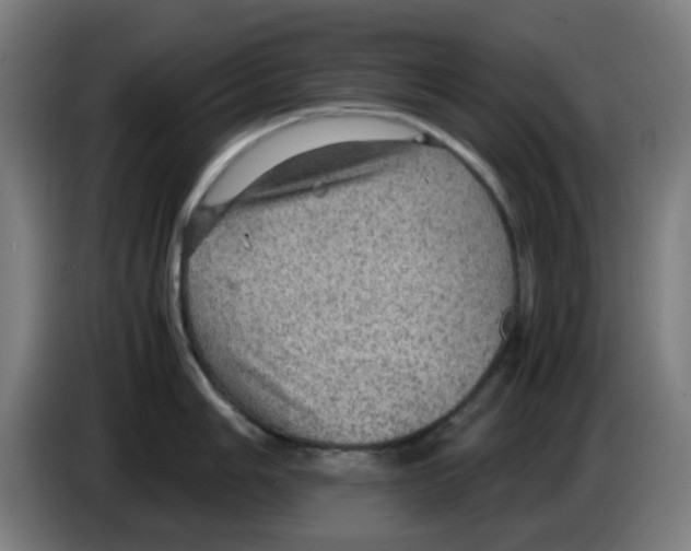 X0000086231006200704261852