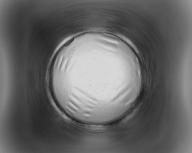 X0000086231007200704261852