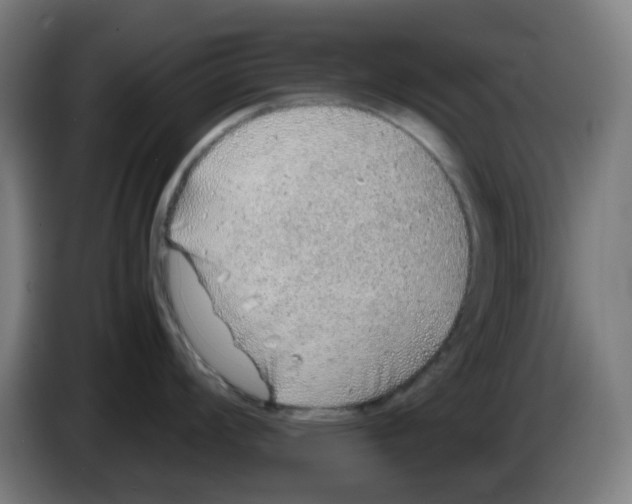 X0000086231008200704261852