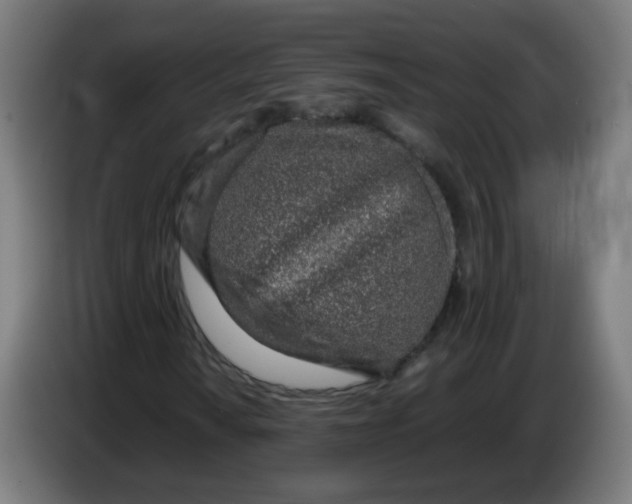 X0000086231010200704261852