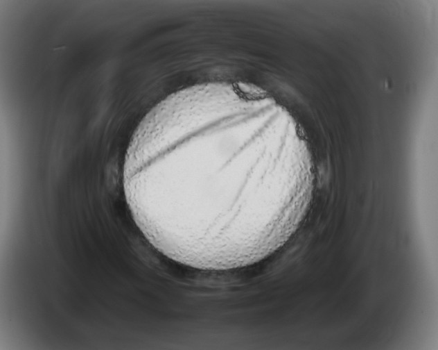 X0000086231011200704261852