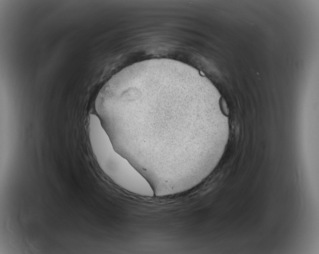 X0000086231012200704261852