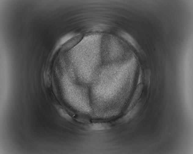 X0000086231018200704261852