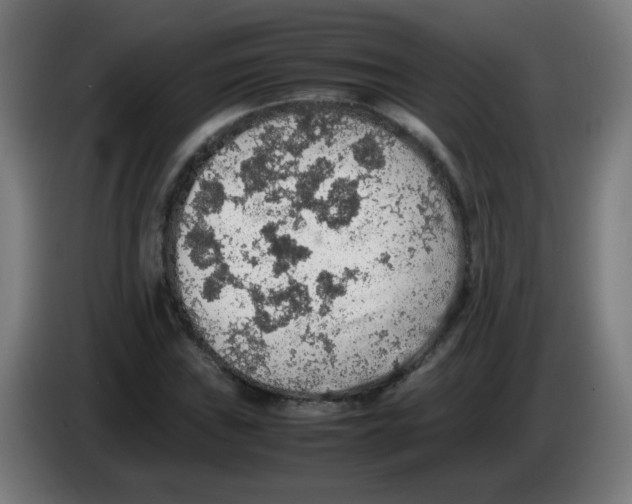 X0000086231019200704261852