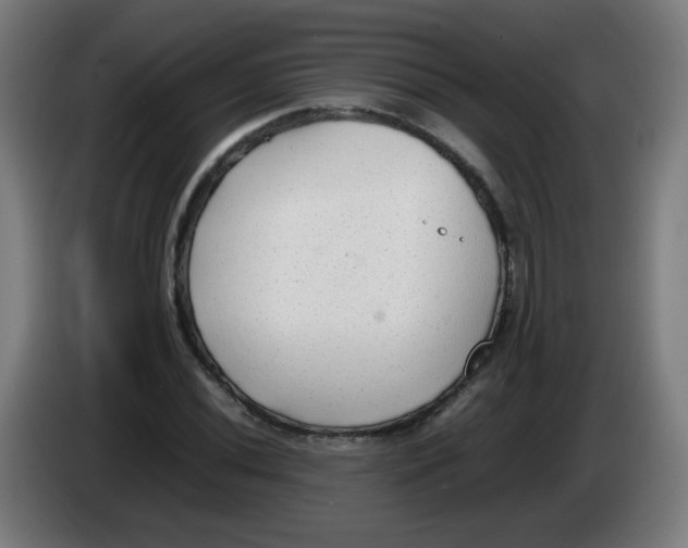 X0000086231020200704261852