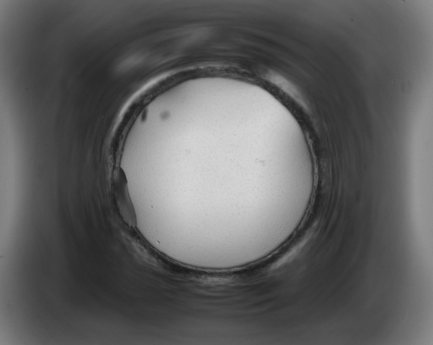 X0000086231021200704261852