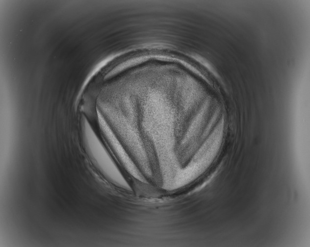 X0000086231022200704261852