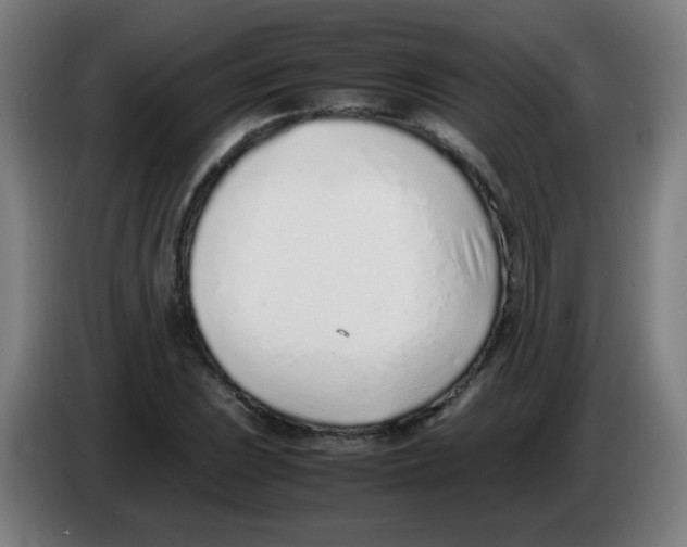 X0000086231023200704261852