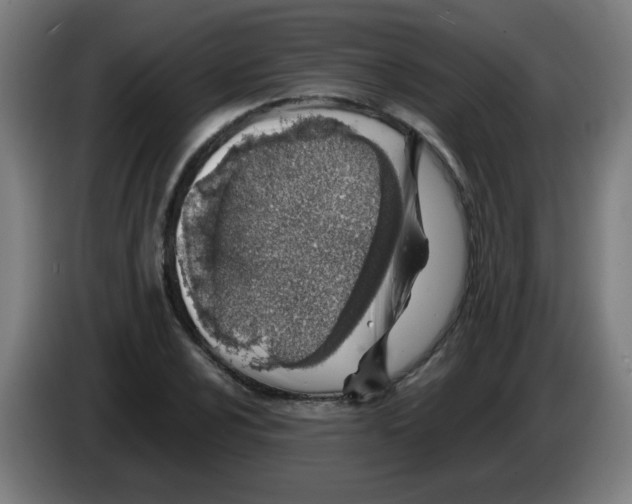 X0000086231024200704261852