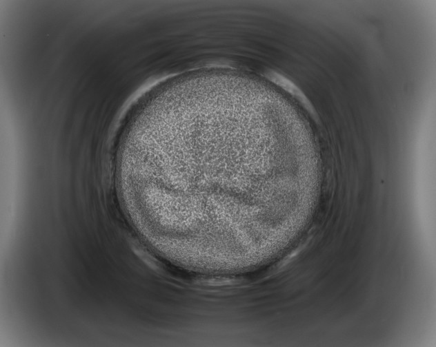 X0000086231027200704261852