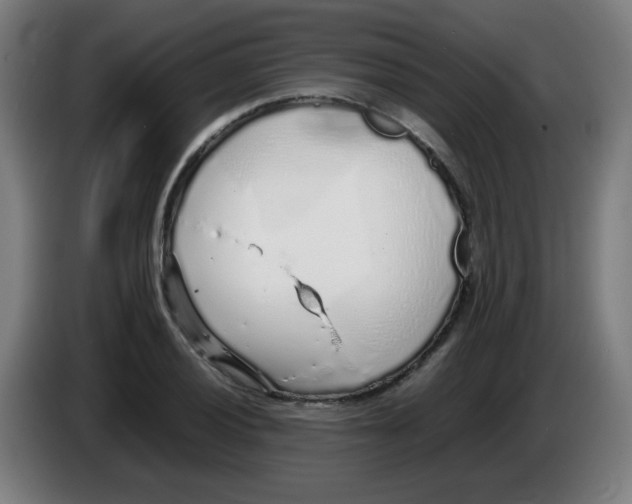 X0000086231028200704261852