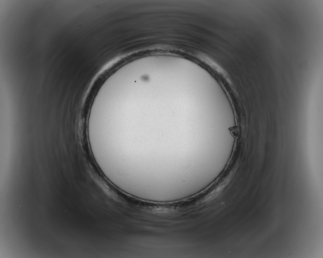 X0000086231029200704261852