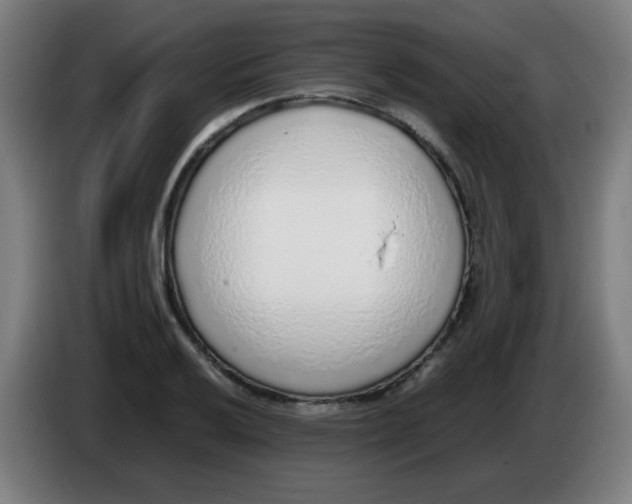 X0000086231032200704261852