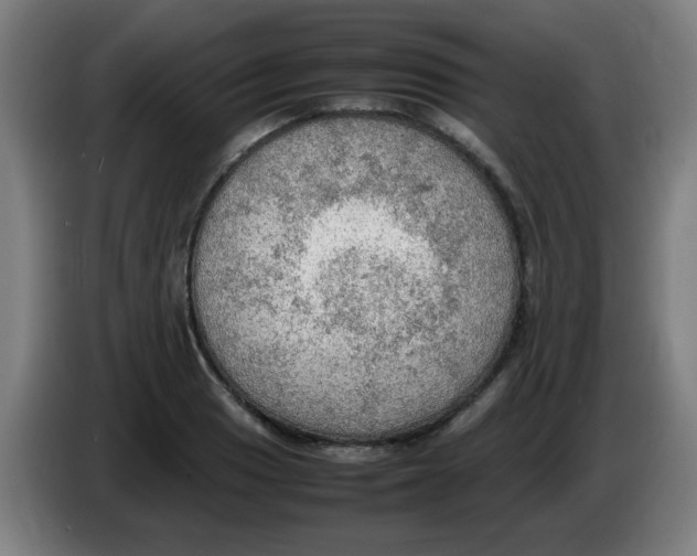 X0000086231033200704261852