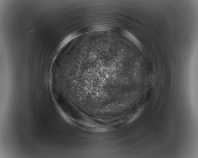 X0000086231034200704261852