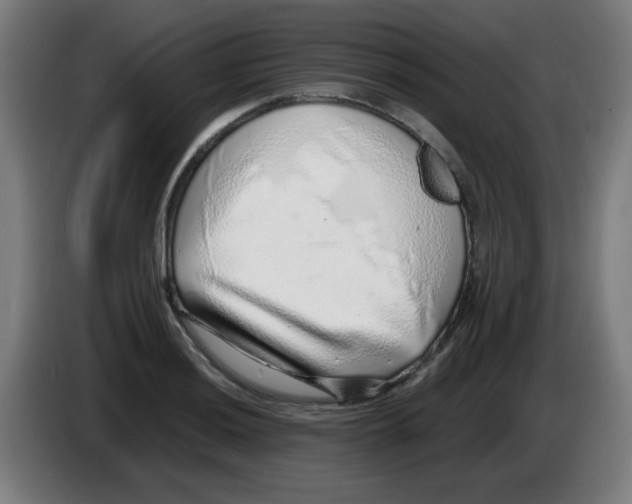 X0000086231036200704261852