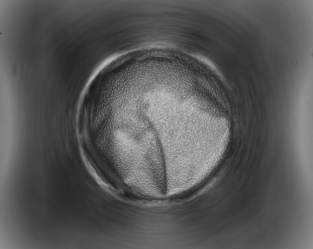 X0000086231038200704261852