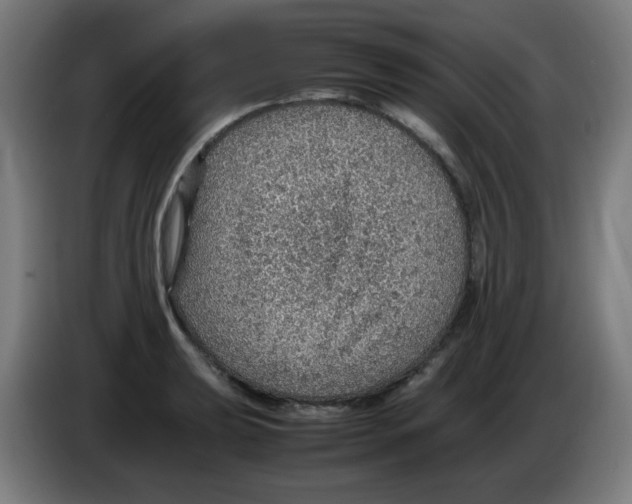 X0000086231039200704261852