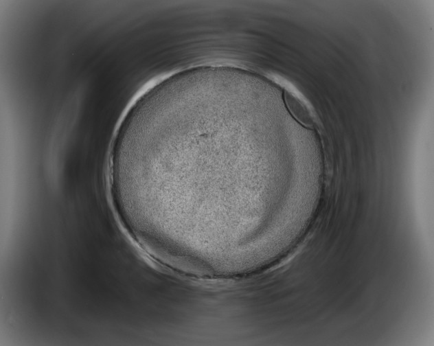 X0000086231040200704261852