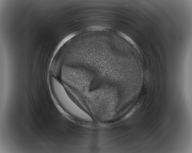 X0000086231042200704261852