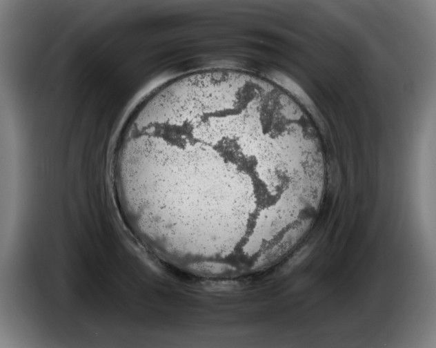 X0000086231043200704261852