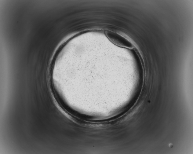 X0000086231045200704261852