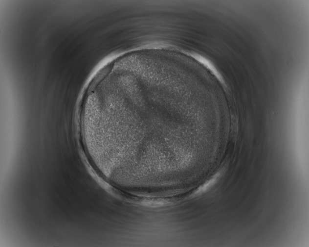 X0000086231046200704261852