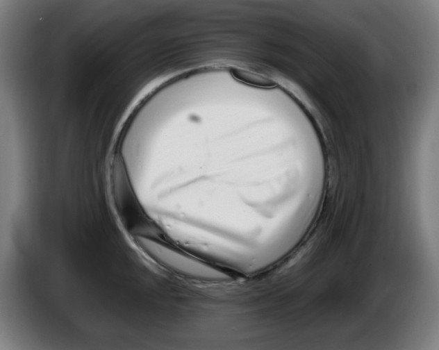 X0000086231048200704261852