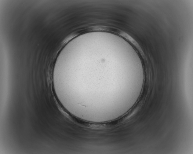 X0000086231049200704261852