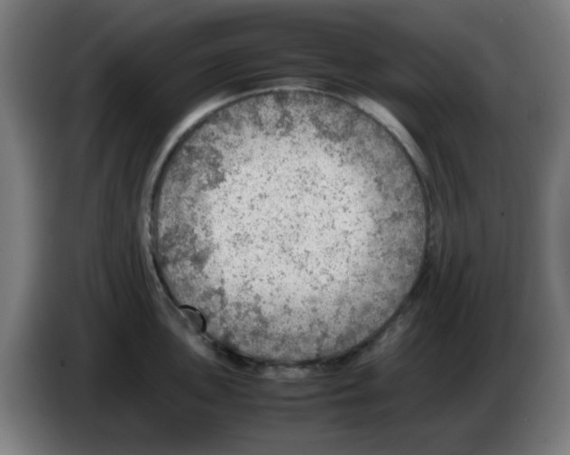 X0000086231051200704261852