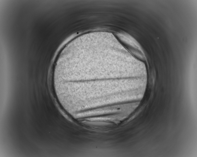 X0000086231053200704261852