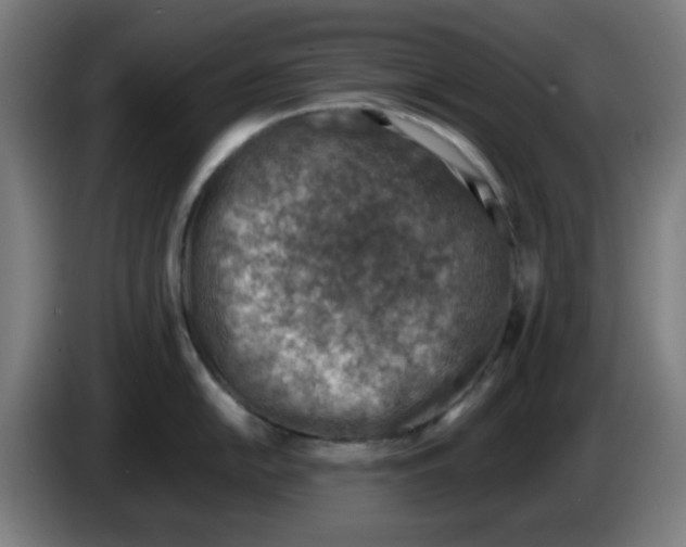 X0000086231054200704261852